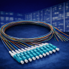 LC OM3 Pigtails 12 Pack – OptiCore Multimode Fibre